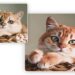 Transform Your Pet's Photos: Animal Photo Editing Tips