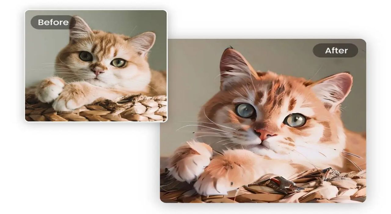 Transform Your Pet’s Photos: Animal Photo Editing Tips