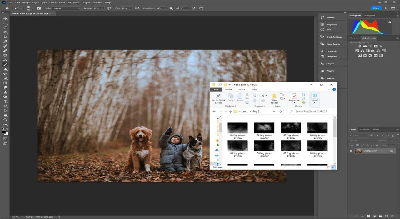 Free Photoshop Overlays: Adding Magic to Your Photos