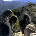 barefoot hiking shoes featured images