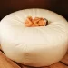 infant photography bean bag featured image