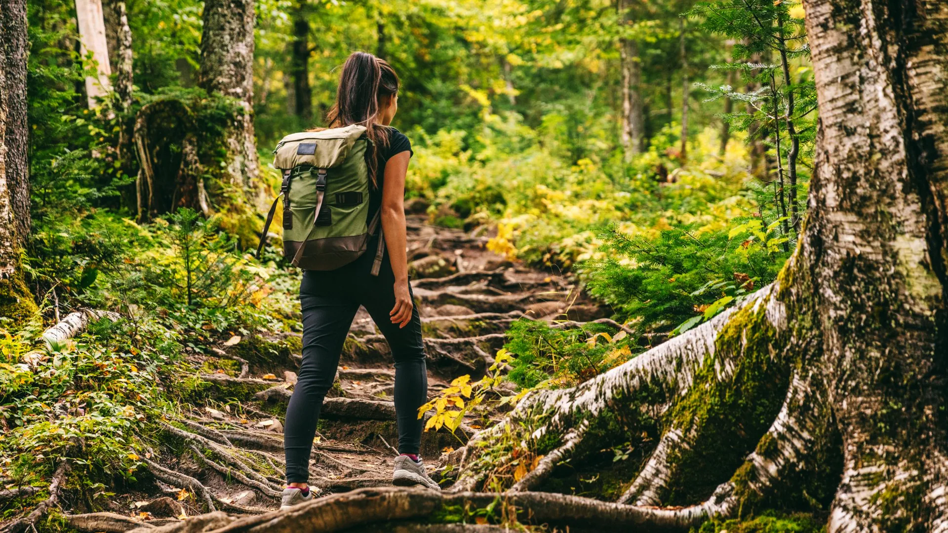 Best Trail Camera Bags for Every Outdoor Enthusiast