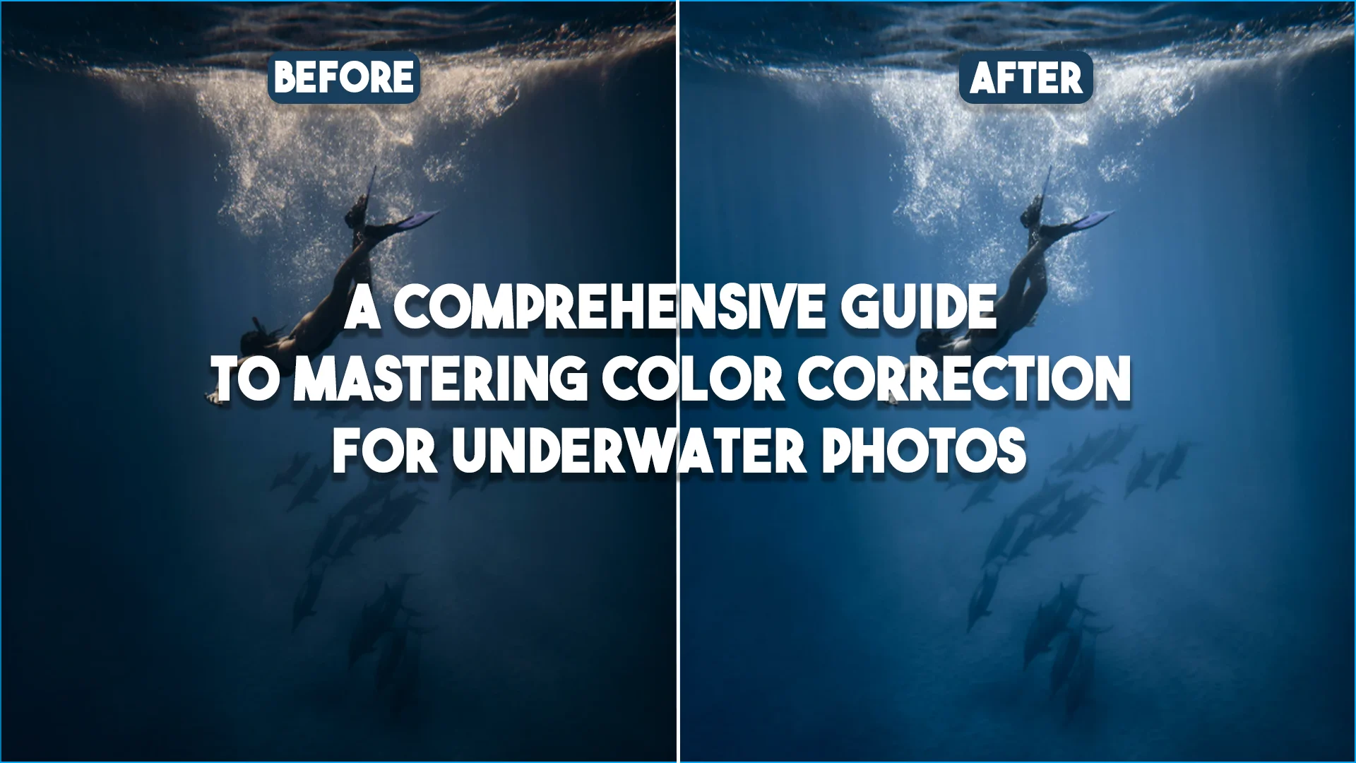 Mastering Color Correction for Underwater Photos: A Comprehensive Guide