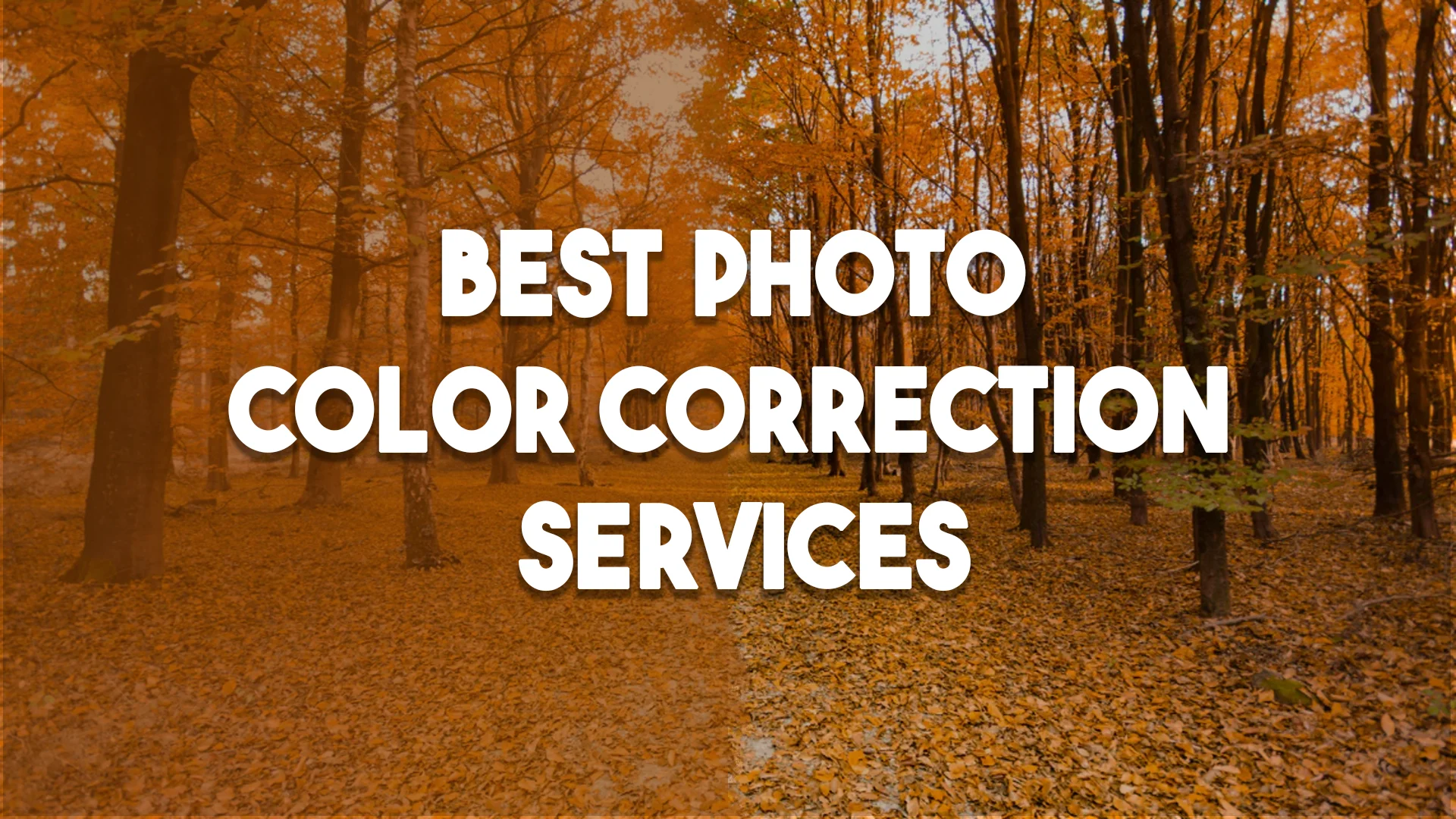 Best Photo Color Correction Services: Features, Pricing, and Reviews