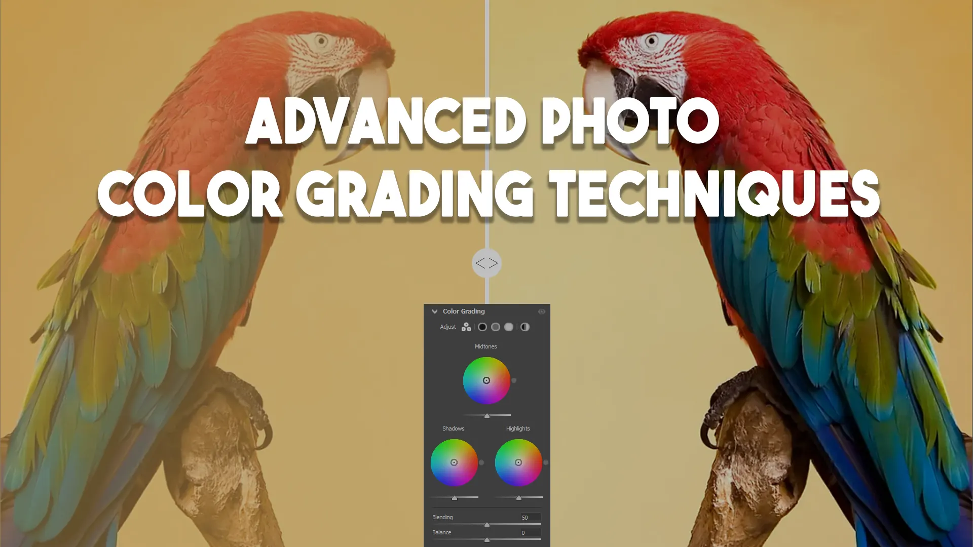 Advanced Photo Color Grading Techniques: Taking Your Edits to the Next Level